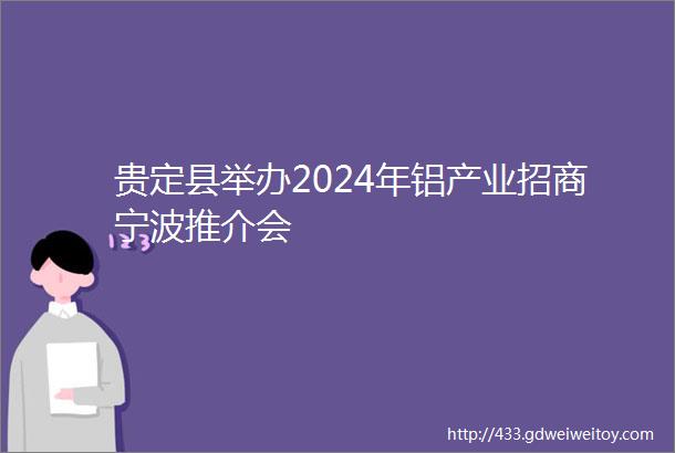 贵定县举办2024年铝产业招商宁波推介会